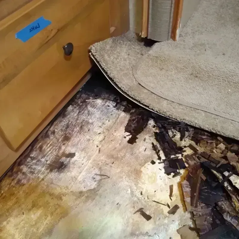 Best Wood Floor Water Damage Service in Sedgwick County, KS